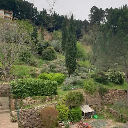 Le Cocon